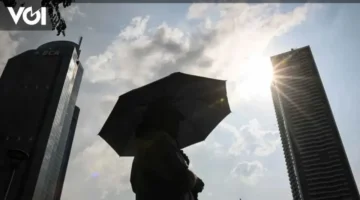 طقس جاكرتا الحار يدفع برامونو لتعزيز زراعة الأشجار لمواجهة التحديات المناخية
